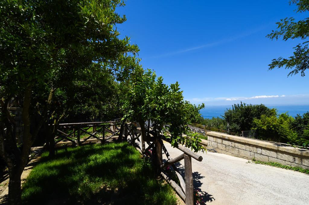 דירות La Torre Relais סורנטו מראה חיצוני תמונה
