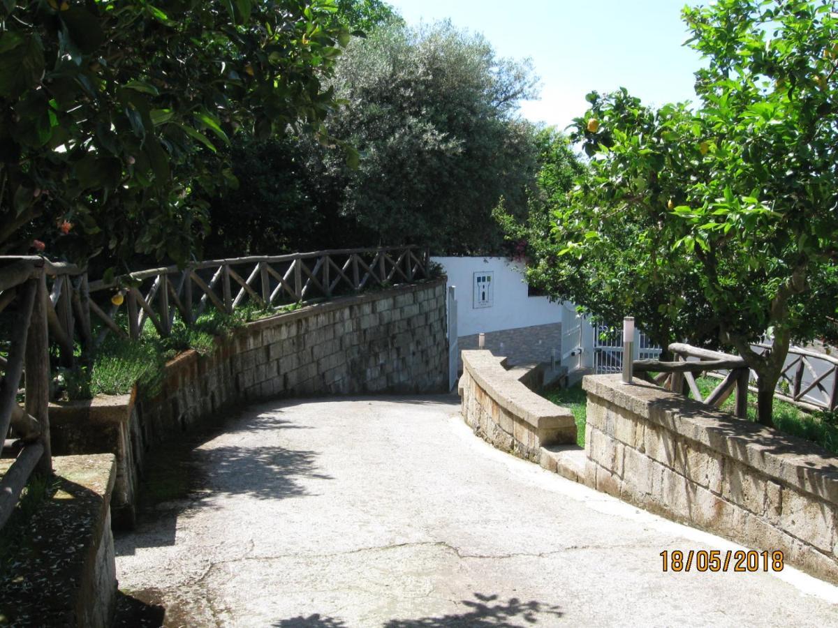 דירות La Torre Relais סורנטו מראה חיצוני תמונה